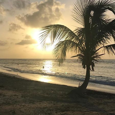 Studio Tahiti Vue Mer Saint-Francois  Buitenkant foto