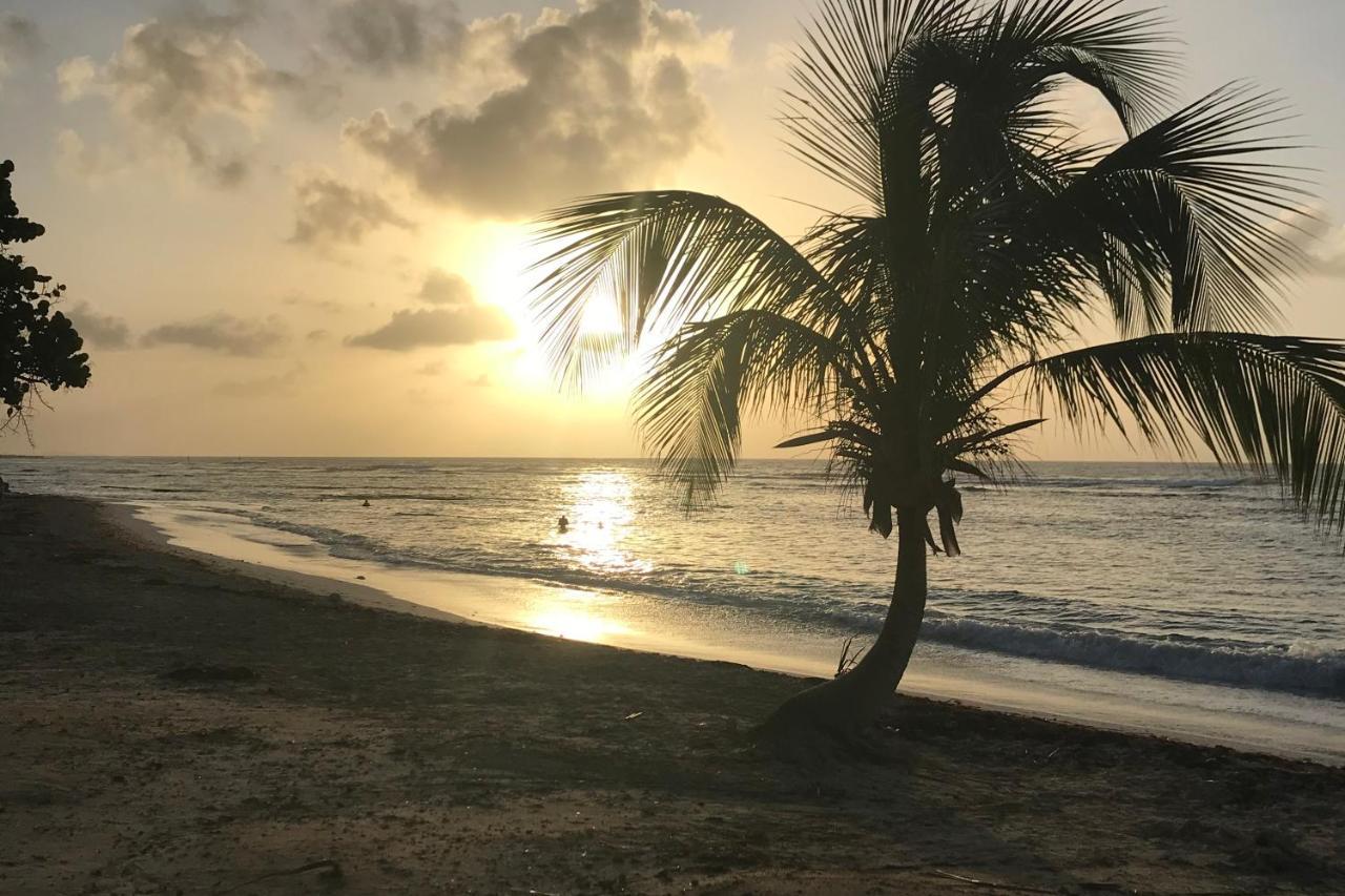 Studio Tahiti Vue Mer Saint-Francois  Buitenkant foto